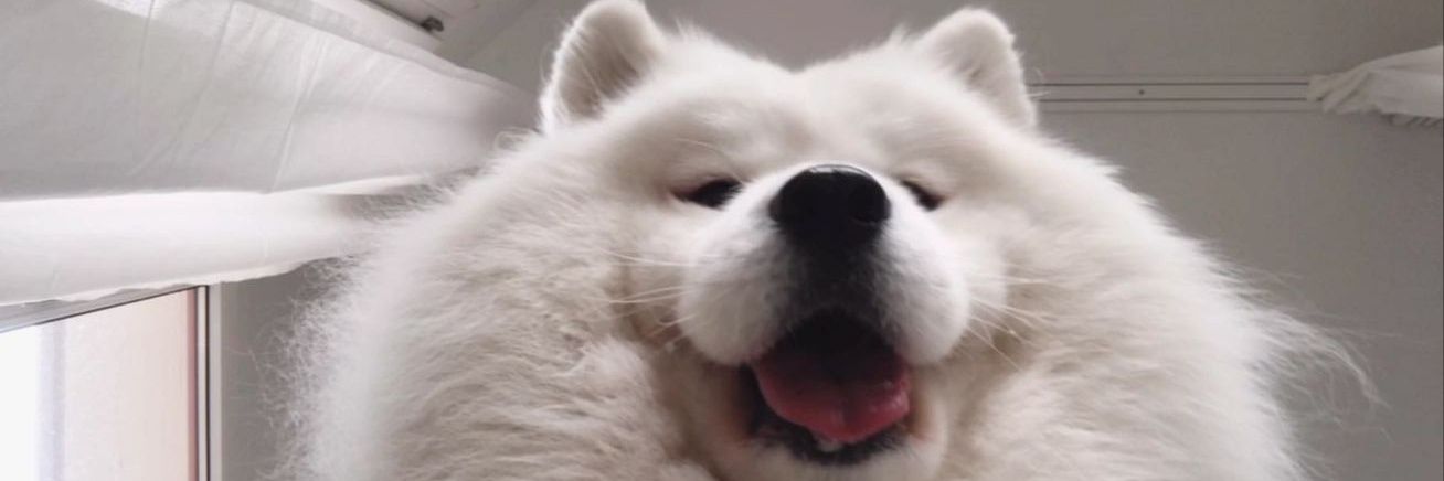 danielmb_02's profile banner image