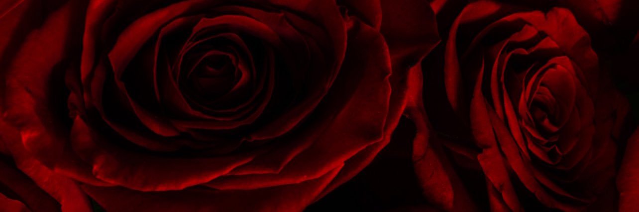 xtrxnlxnnx's profile banner image