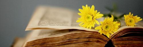 bneiore's profile banner image