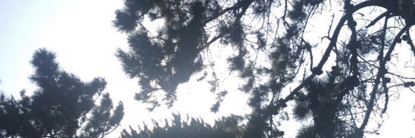 CharleneBrg's profile banner image