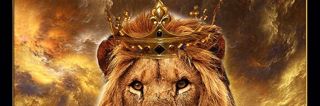 TDane407's profile banner image