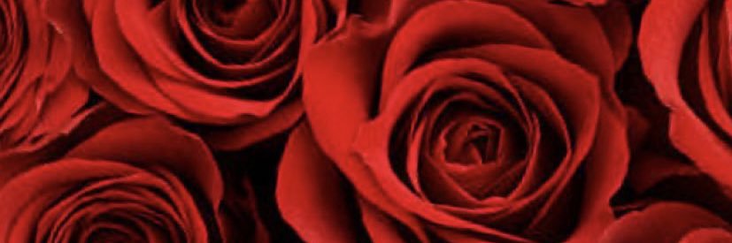 chasiityleanne's profile banner image