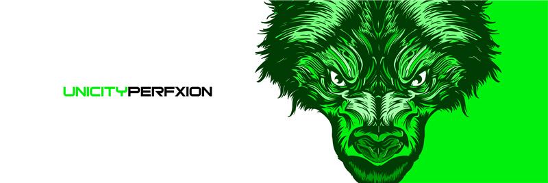 _PerfXion_'s profile banner image