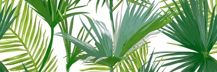 Philippe Imbert banner