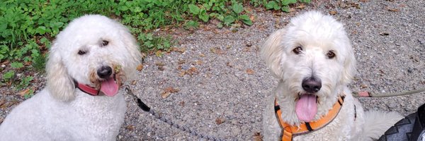 gabzywise Profile Banner