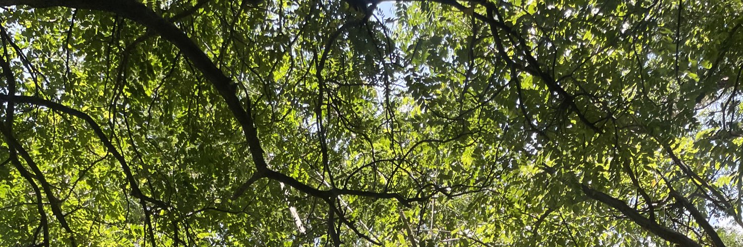 Mafercita🌞 banner