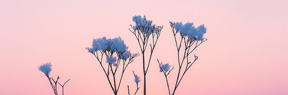 Byadvnty's profile banner image