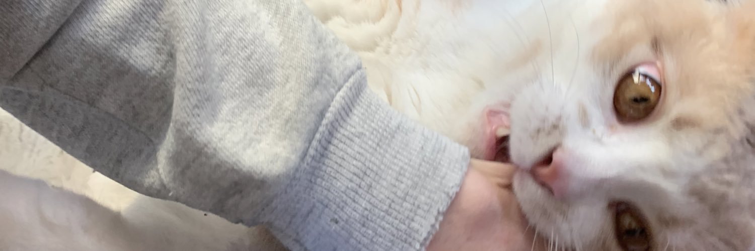 briannabuchner's profile banner image