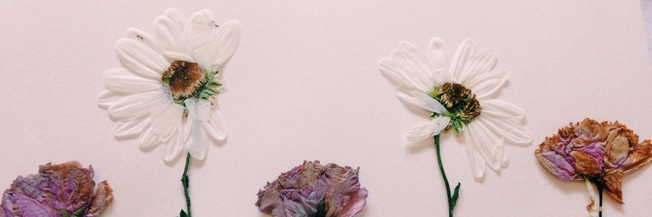 Tomaz_mx's profile banner image