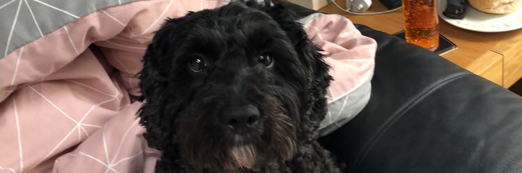 kayleigh_max's profile banner image