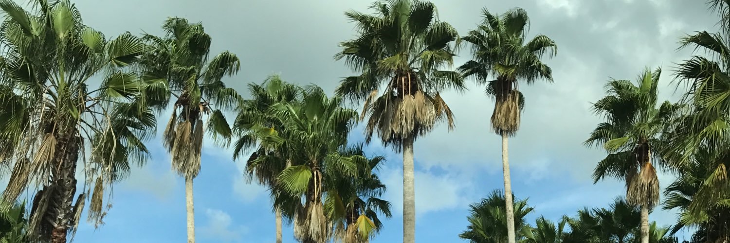 Meghan Valentine banner