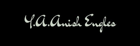 AnishEngles's profile banner image