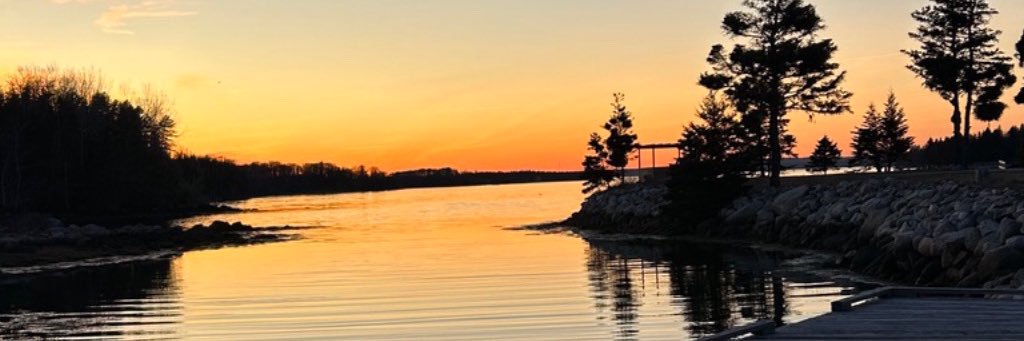 lisab269's profile banner image