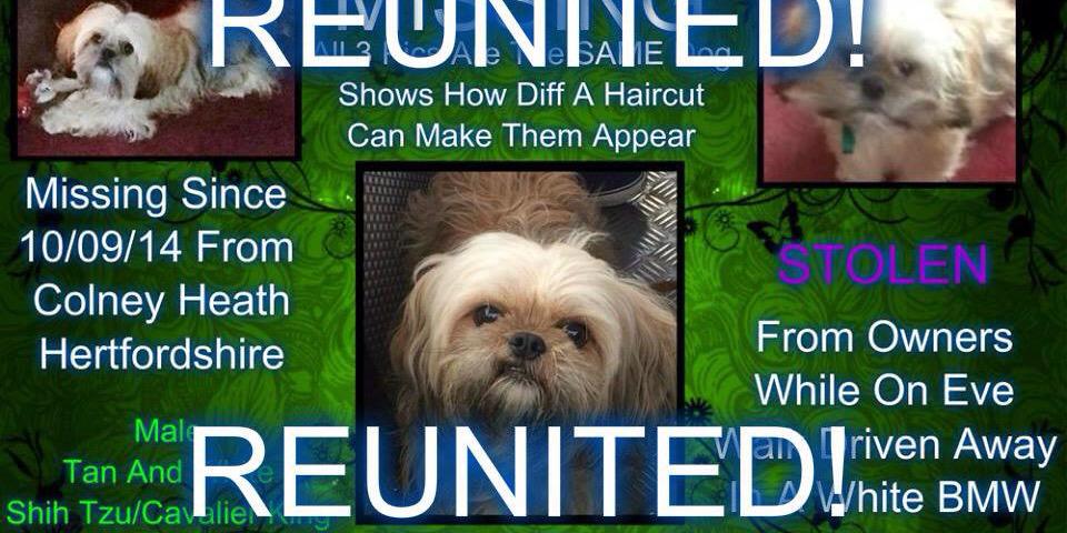 Helpfindmax's profile banner image