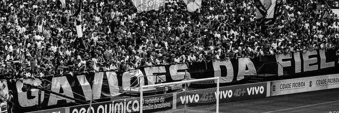 alcemoreira's profile banner image