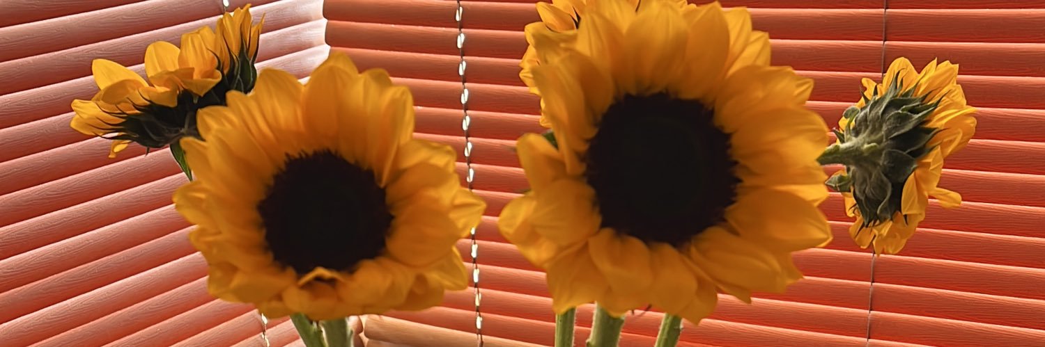 donadiovelarde's profile banner image
