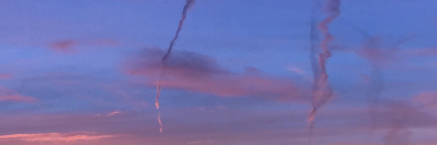 michellekenyon5's profile banner image