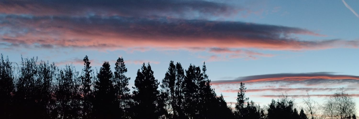 forestfirefly66's profile banner image