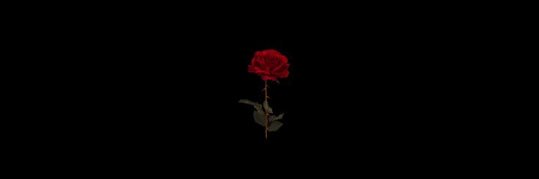 5hlayoutsss's profile banner image