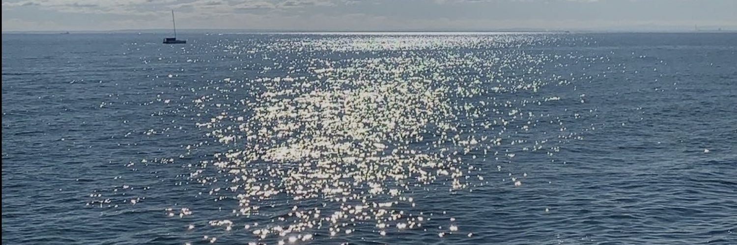 chchcheri's profile banner image