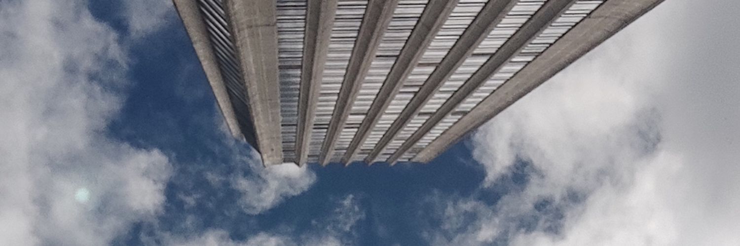danimonver's profile banner image