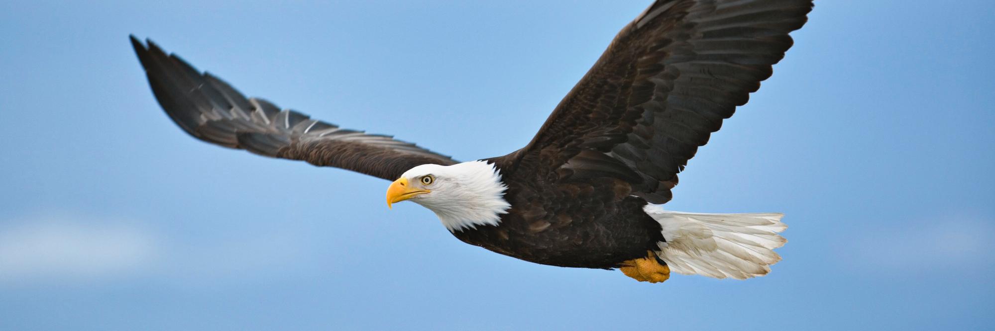 Botiemaster's profile banner image