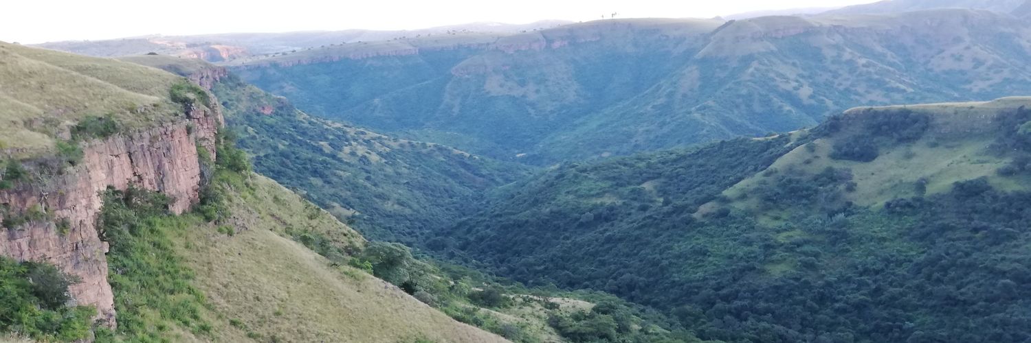 thembohndlovu's profile banner image