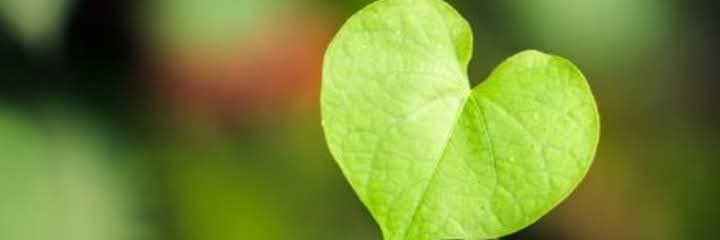 wu___m's profile banner image