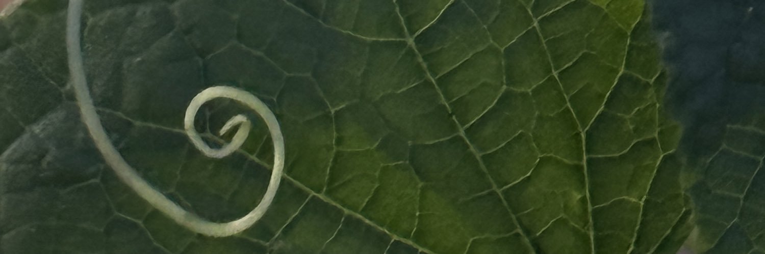 ynad_________'s profile banner image