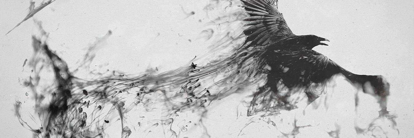 GraemeWhite_'s profile banner image