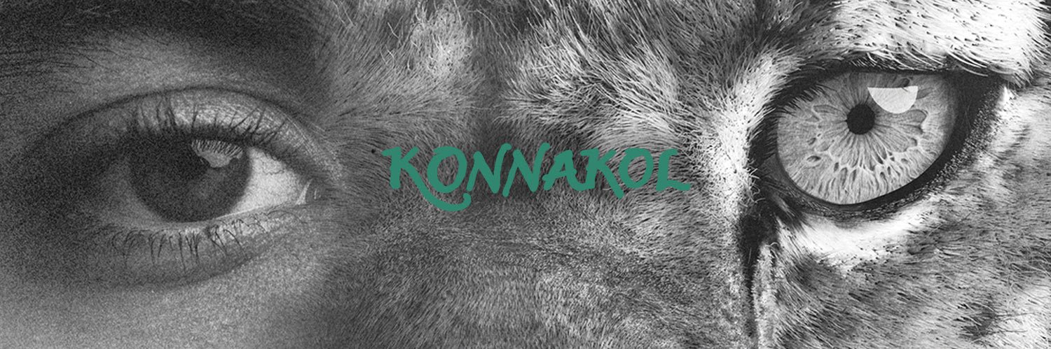 wonderomy's profile banner image