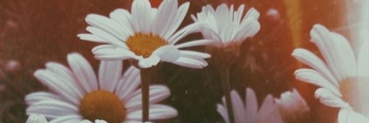 RafaCOS_21's profile banner image