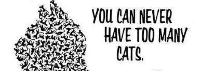 Meowkittygohome's profile banner image