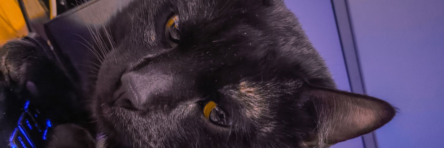 Topanthyago's profile banner image