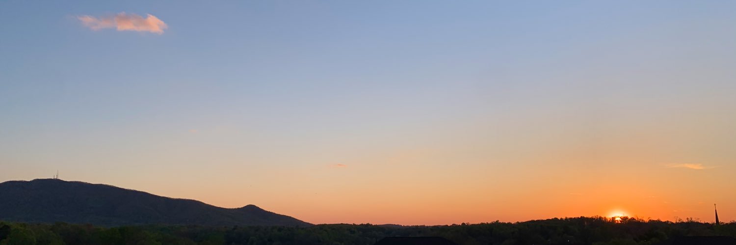 elliecach's profile banner image