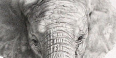 Ved Varma 🍥 banner