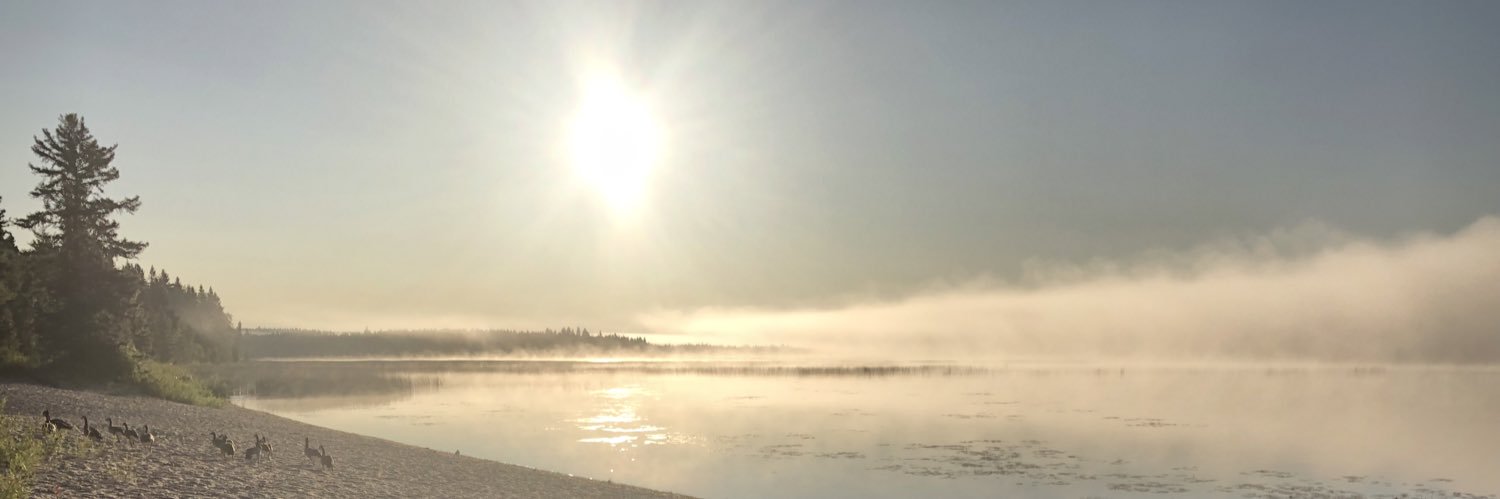 LisaRisom's profile banner image