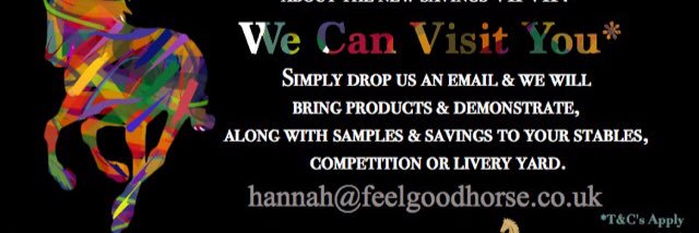 feelgoodhorse's profile banner image