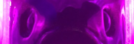 gachiham's profile banner image