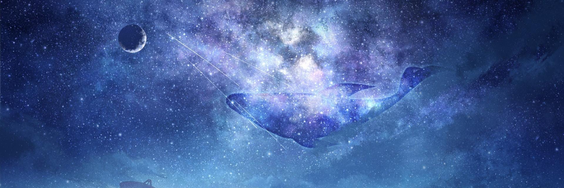 TopDitto's profile banner image