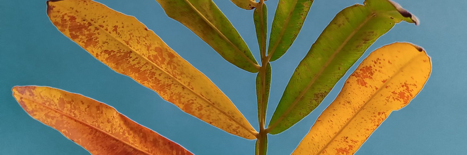 ihthisharm's profile banner image