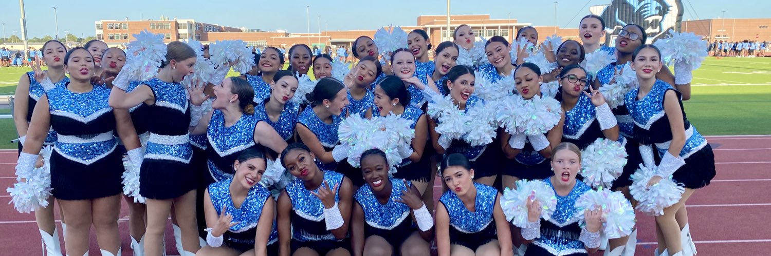 PHS Silver Strutters banner