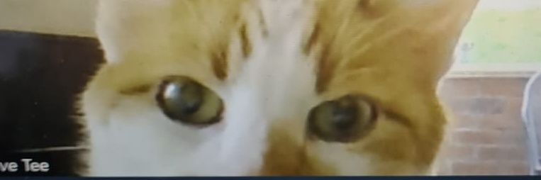 davejtee's profile banner image