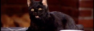 SpellmanSalem's profile banner image