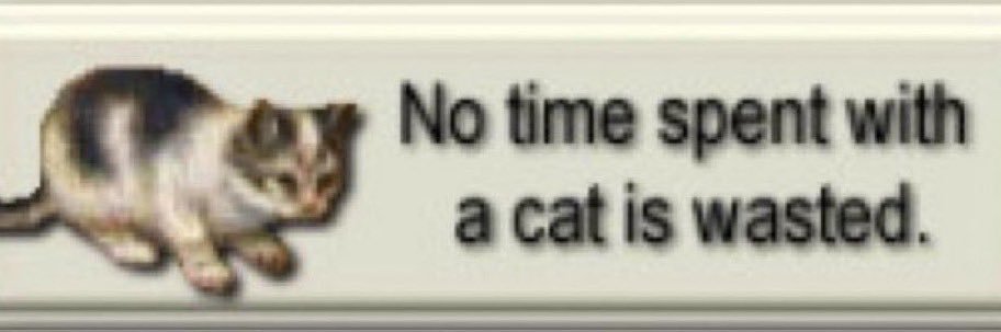 schmopecity's profile banner image