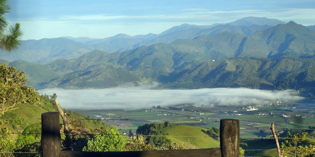 constanzaavanza's profile banner image
