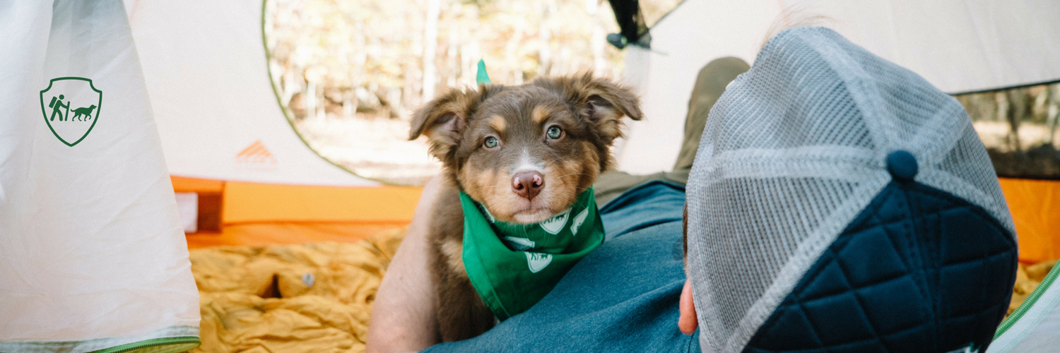 campingwithdogs's profile banner image