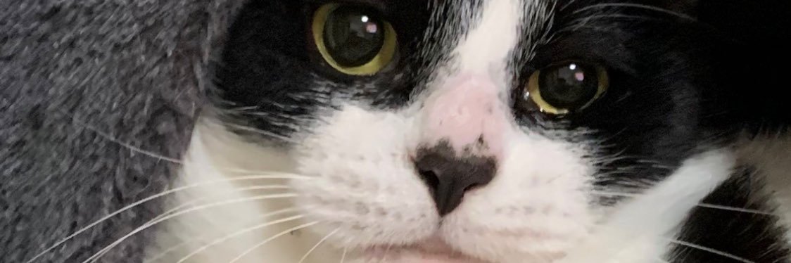 mirukuprin100's profile banner image