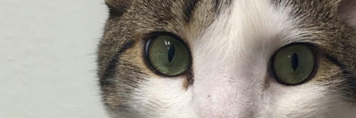 stefunnythelez's profile banner image