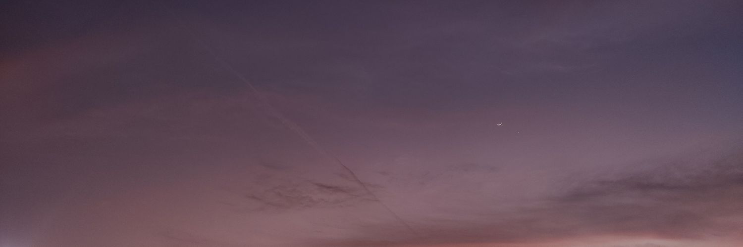 nil0vna's profile banner image